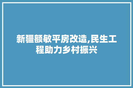 新疆额敏平房改造,民生工程助力乡村振兴