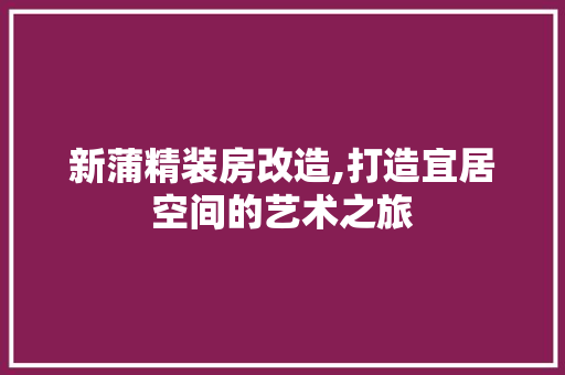 新蒲精装房改造,打造宜居空间的艺术之旅