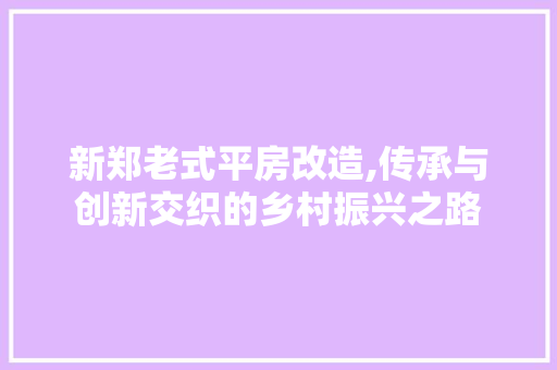 新郑老式平房改造,传承与创新交织的乡村振兴之路 装修材料