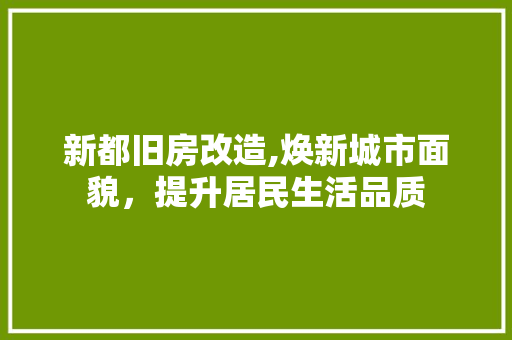 新都旧房改造,焕新城市面貌，提升居民生活品质