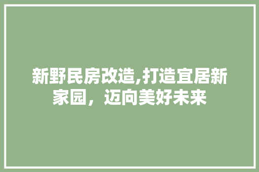 新野民房改造,打造宜居新家园，迈向美好未来 庭院装修