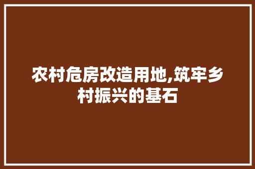 农村危房改造用地,筑牢乡村振兴的基石