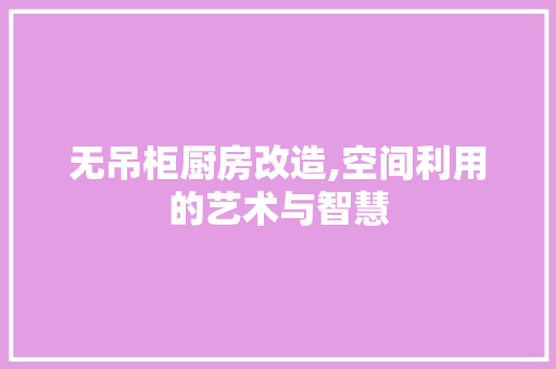 无吊柜厨房改造,空间利用的艺术与智慧 装修材料