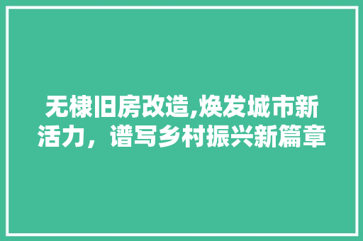 无棣旧房改造,焕发城市新活力，谱写乡村振兴新篇章 庭院装修
