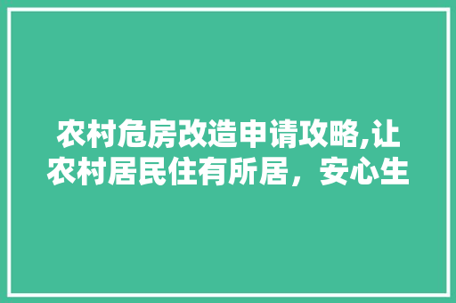 农村危房改造申请攻略,让农村居民住有所居，安心生活