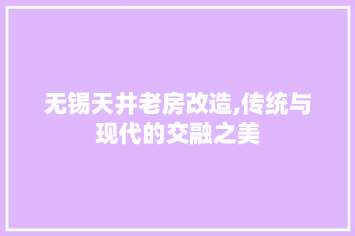无锡天井老房改造,传统与现代的交融之美 隔断设计