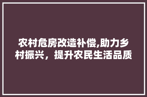 农村危房改造补偿,助力乡村振兴，提升农民生活品质 门窗装修