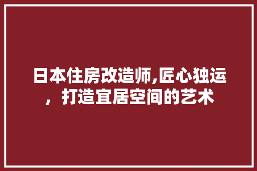 日本住房改造师,匠心独运，打造宜居空间的艺术