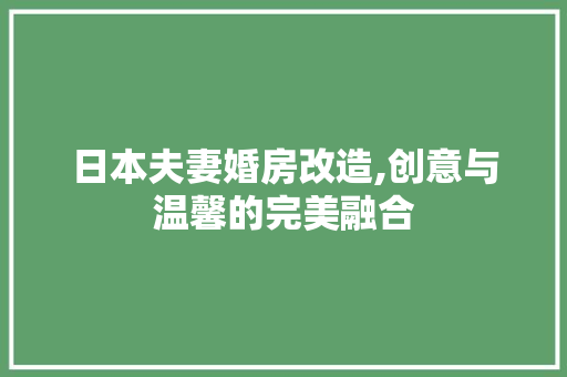 日本夫妻婚房改造,创意与温馨的完美融合