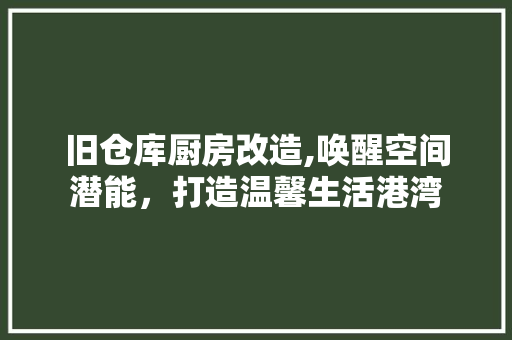 旧仓库厨房改造,唤醒空间潜能，打造温馨生活港湾