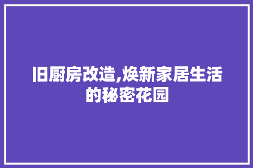 旧厨房改造,焕新家居生活的秘密花园 隔断设计