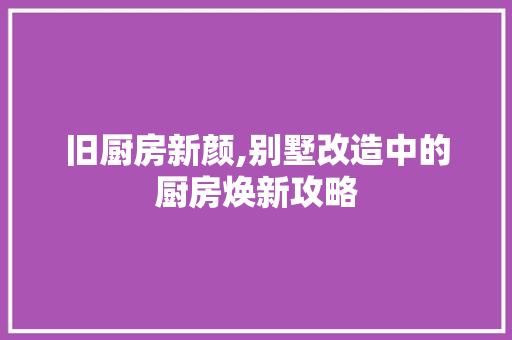 旧厨房新颜,别墅改造中的厨房焕新攻略