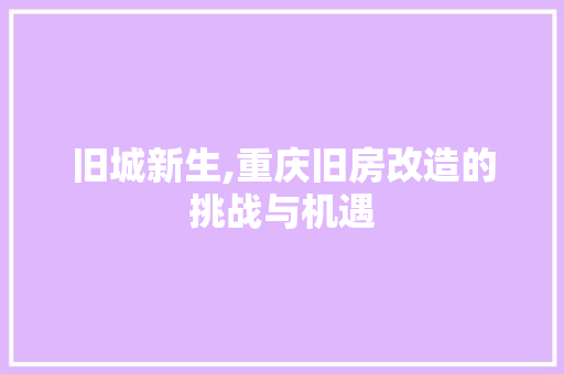 旧城新生,重庆旧房改造的挑战与机遇
