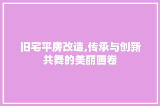 旧宅平房改造,传承与创新共舞的美丽画卷