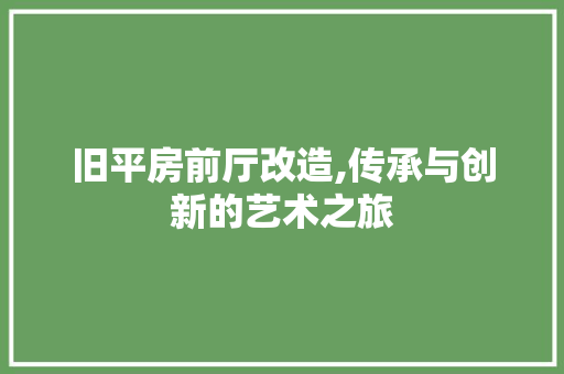 旧平房前厅改造,传承与创新的艺术之旅