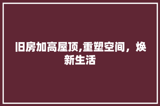 旧房加高屋顶,重塑空间，焕新生活 建筑设计