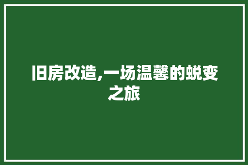 旧房改造,一场温馨的蜕变之旅