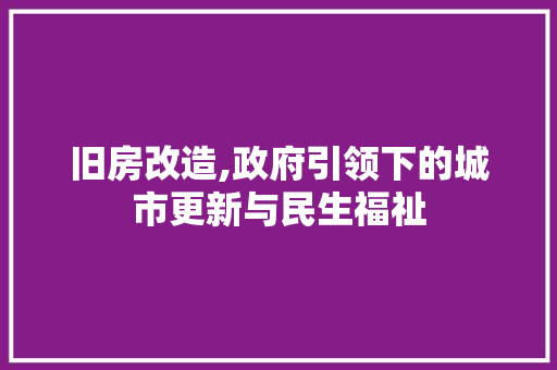 旧房改造,政府引领下的城市更新与民生福祉 景观设计 旧房改造,政府引领下的城市更新与民生福祉 景观设计