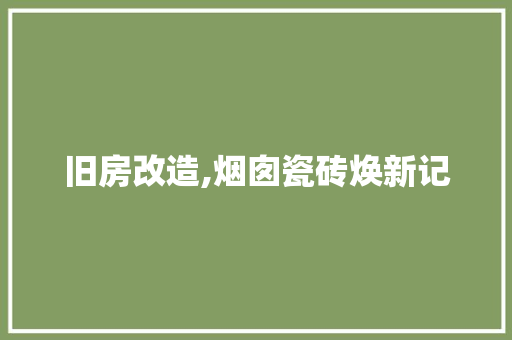 旧房改造,烟囱瓷砖焕新记