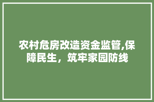 农村危房改造资金监管,保障民生，筑牢家园防线
