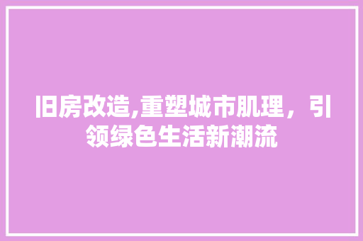 旧房改造,重塑城市肌理，引领绿色生活新潮流 隔断设计