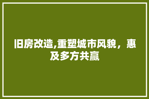 旧房改造,重塑城市风貌，惠及多方共赢