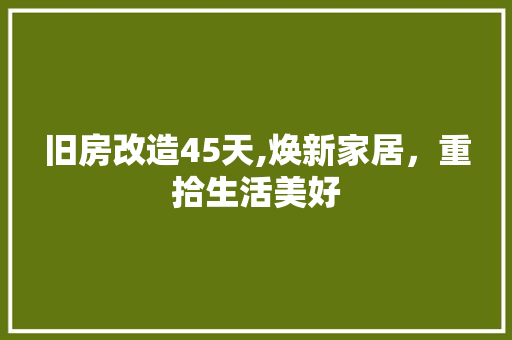 旧房改造45天,焕新家居，重拾生活美好 墙面装饰