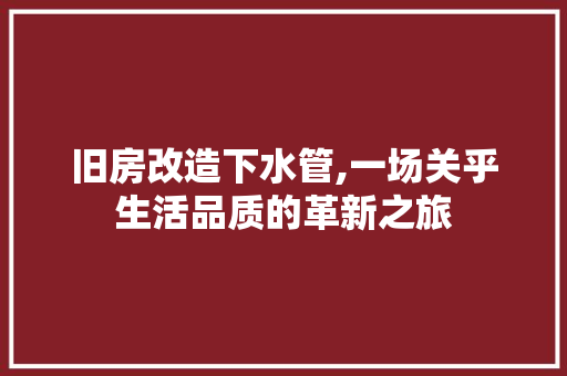 旧房改造下水管,一场关乎生活品质的革新之旅