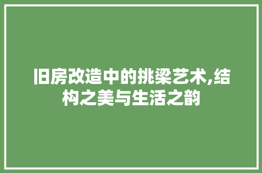 旧房改造中的挑梁艺术,结构之美与生活之韵