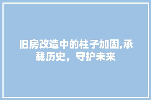 旧房改造中的柱子加固,承载历史，守护未来