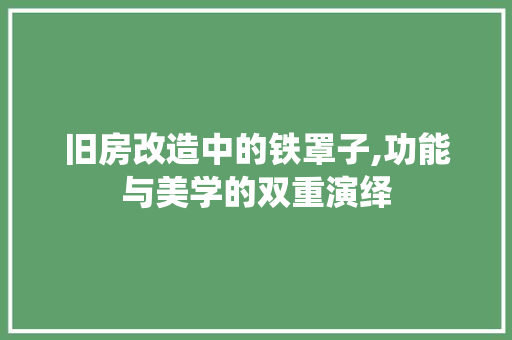 旧房改造中的铁罩子,功能与美学的双重演绎