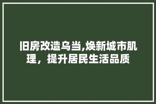 旧房改造乌当,焕新城市肌理，提升居民生活品质