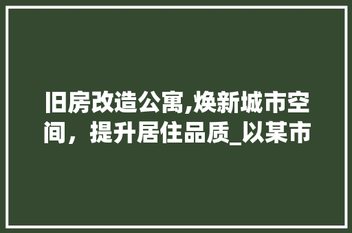 旧房改造公寓,焕新城市空间，提升居住品质_以某市为例
