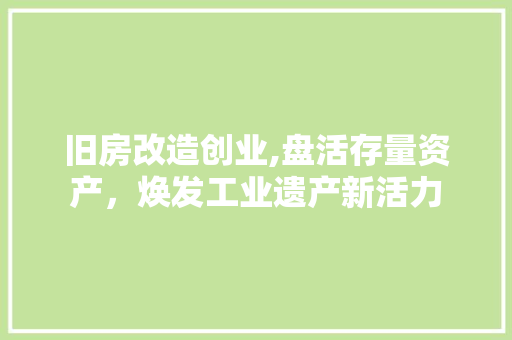 旧房改造创业,盘活存量资产，焕发工业遗产新活力