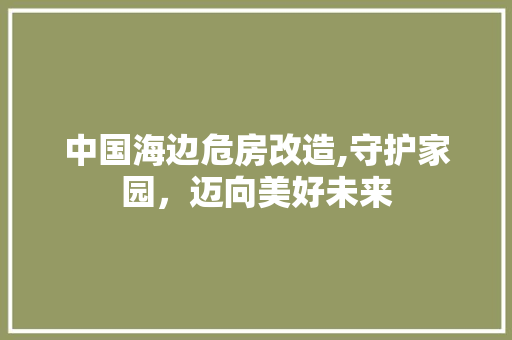 中国海边危房改造,守护家园，迈向美好未来