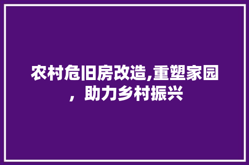 农村危旧房改造,重塑家园，助力乡村振兴