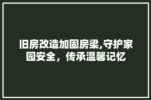 旧房改造加固房梁,守护家园安全，传承温馨记忆