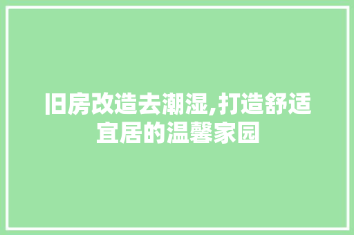 旧房改造去潮湿,打造舒适宜居的温馨家园