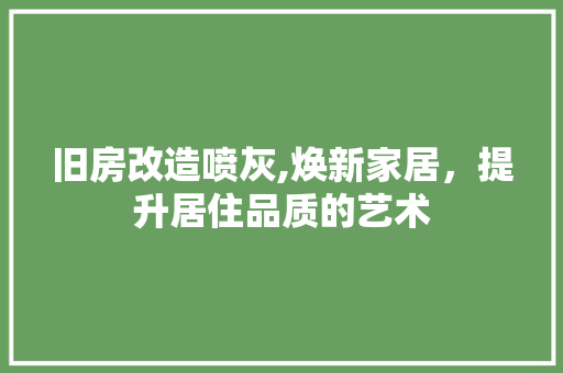 旧房改造喷灰,焕新家居，提升居住品质的艺术