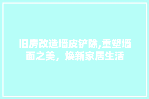 旧房改造墙皮铲除,重塑墙面之美，焕新家居生活