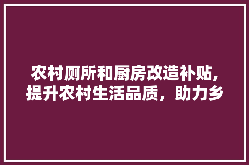 农村厕所和厨房改造补贴,提升农村生活品质，助力乡村振兴
