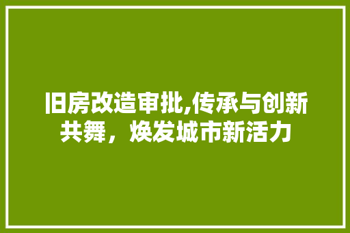旧房改造审批,传承与创新共舞，焕发城市新活力