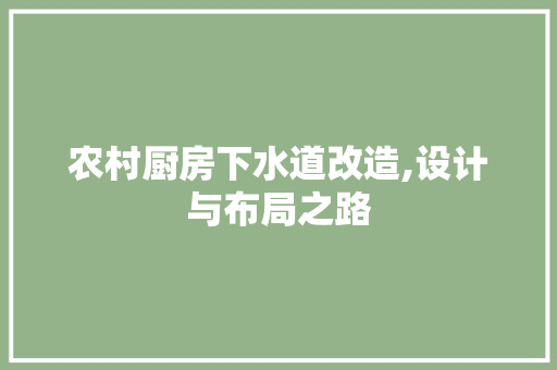 农村厨房下水道改造,设计与布局之路