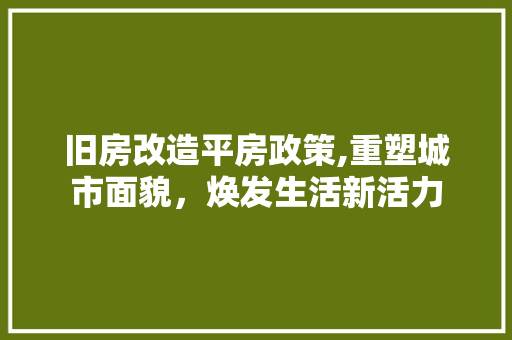 旧房改造平房政策,重塑城市面貌，焕发生活新活力 隔断设计