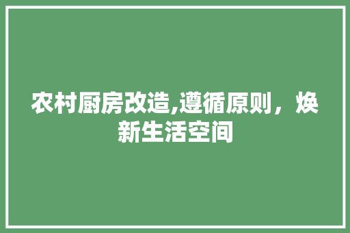 农村厨房改造,遵循原则，焕新生活空间