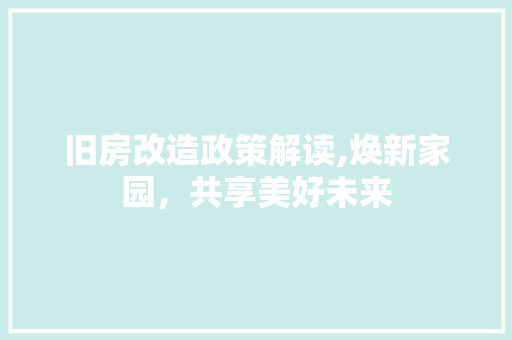 旧房改造政策解读,焕新家园，共享美好未来