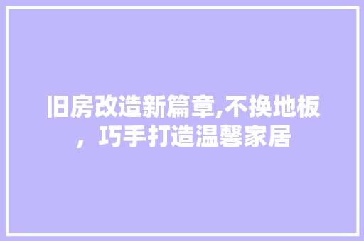 旧房改造新篇章,不换地板，巧手打造温馨家居 地面装修