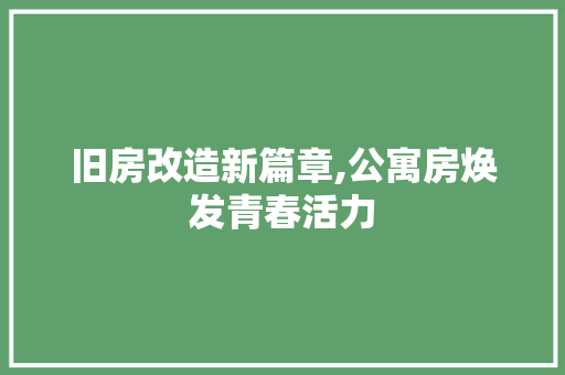 旧房改造新篇章,公寓房焕发青春活力