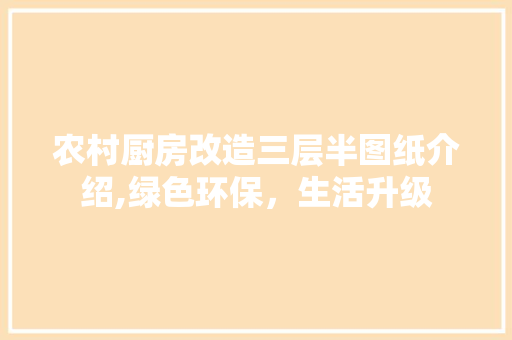 农村厨房改造三层半图纸介绍,绿色环保，生活升级