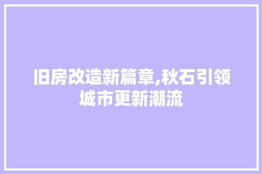 旧房改造新篇章,秋石引领城市更新潮流 景观设计